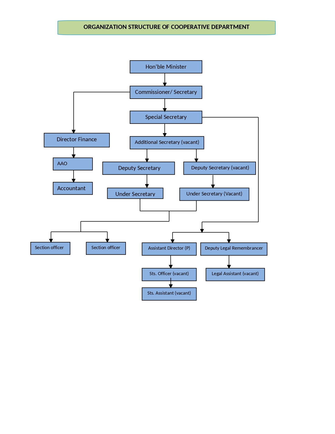 Organisation Chart